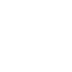 Experienced Technicians